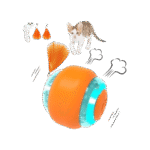 Next Product Image
