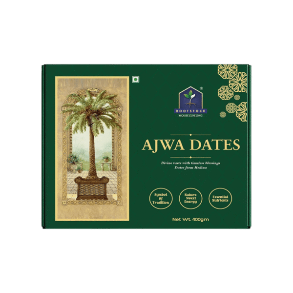 ROOTSTOCK Ajwa Dates