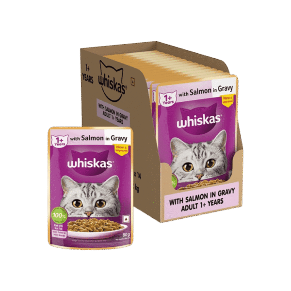 Whiskas Wet Cat Food -Salmon in Gravy (1+ Years)