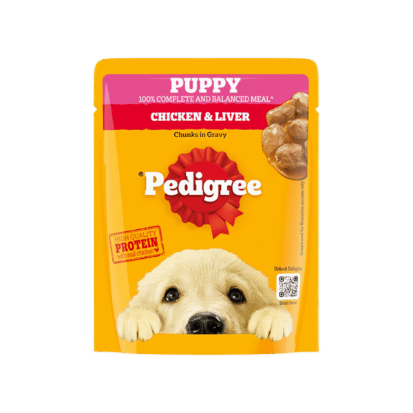 Pedigree Puppy Wet Food (Chicken-Chunks in Gravy)