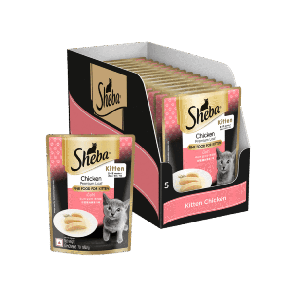 Sheba Kitten Wet Kitten Food (Chicken Premium Loaf)