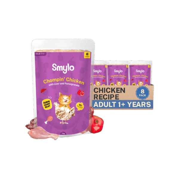 Smylo Adult Chompin' Chicken Wet Cat Food