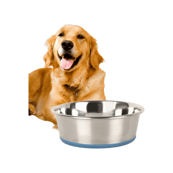 BearHugs Anti Skid Pet Feeding Bowl for Dog (Medium)
