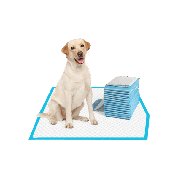Patch & Marshall Pet Training Pad